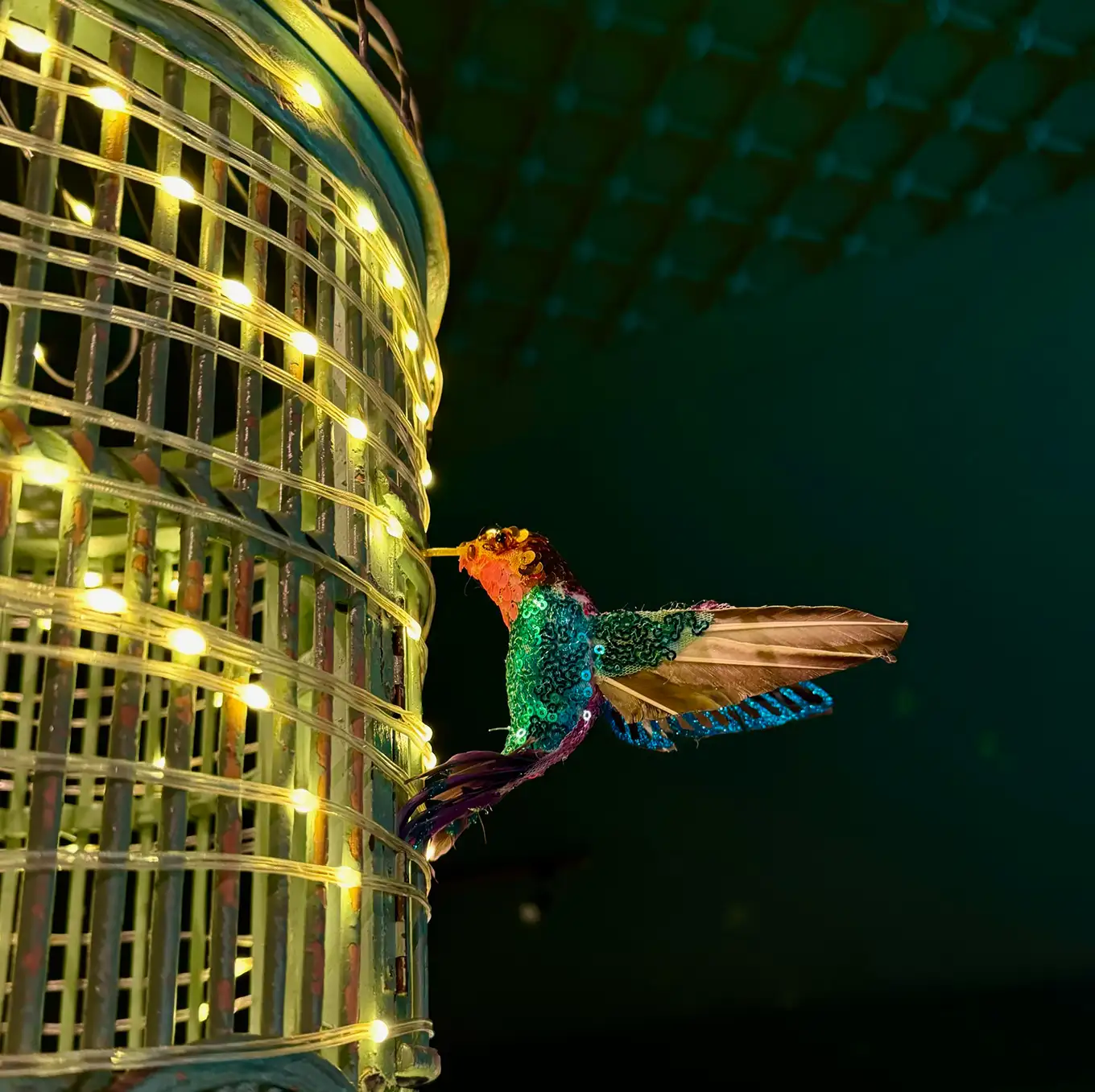 Bird
