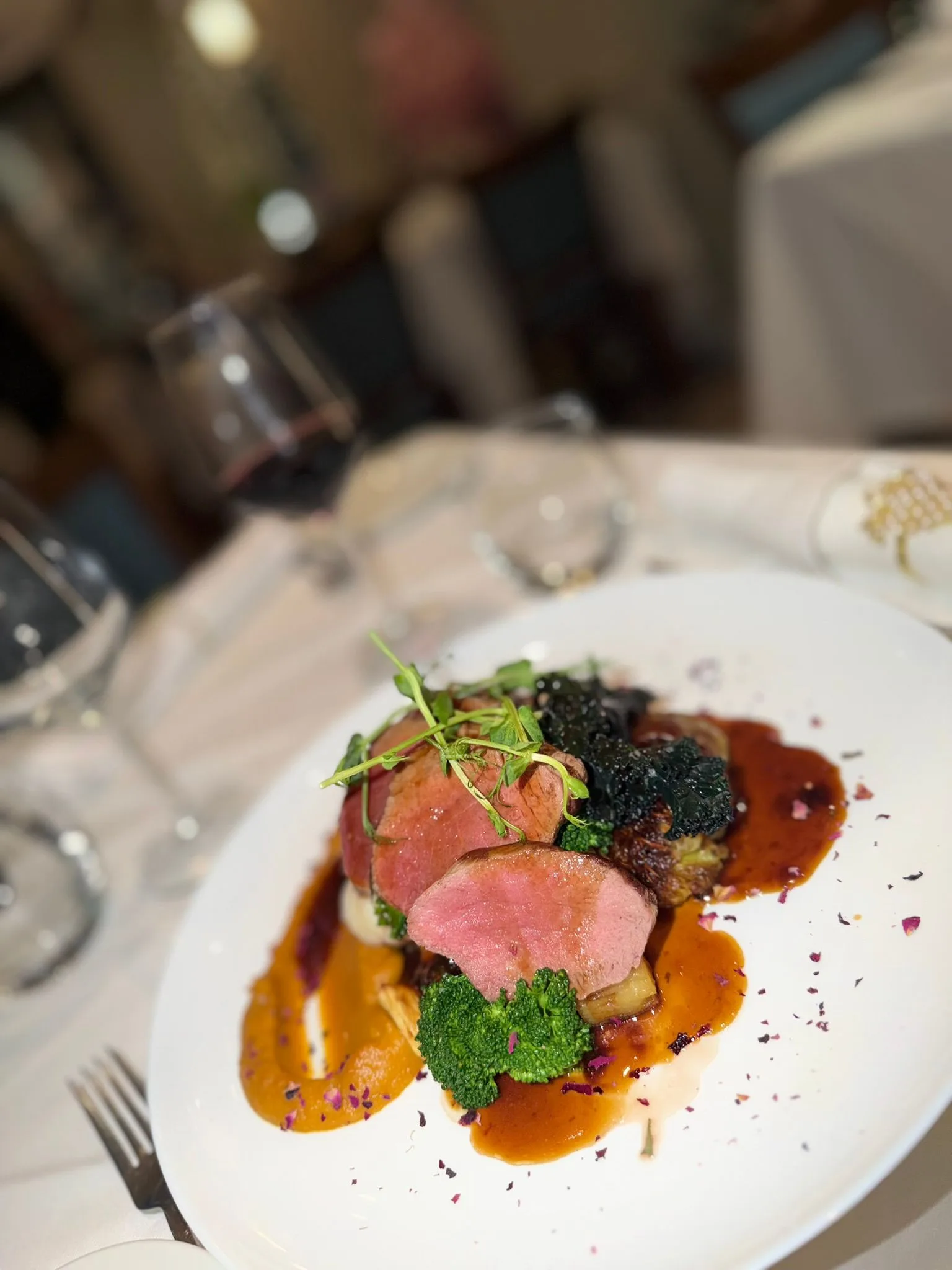 WhatsApp Image 2026-02-21 at 17.17.47